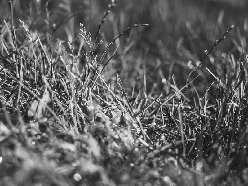 sudoku training mode screenshot 3